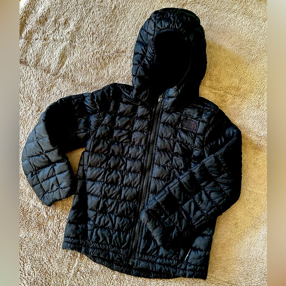 The North Face Thermoball Eco Hoodie